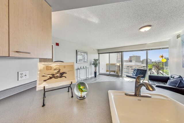 1720 Maple Ave Unit 1270, Evanston, IL 60201 - interior space with a textured ceiling, baseboards, a sink, and a view of city