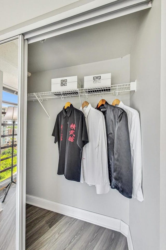 1720 Maple Ave Unit 1270, Evanston, IL 60201 - view of closet