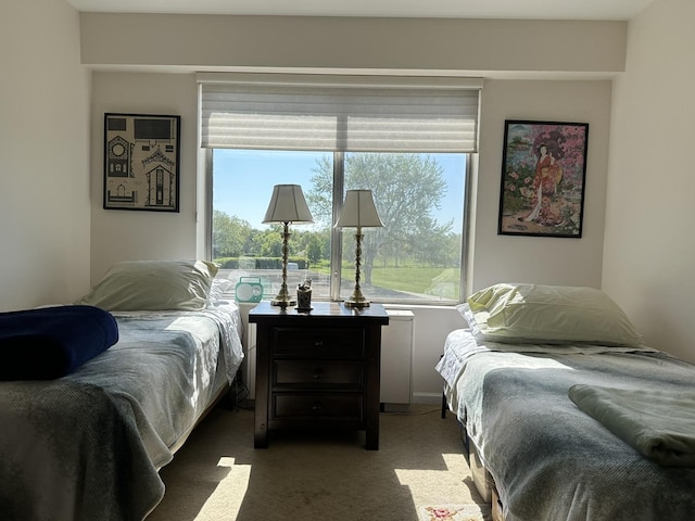 7033 N Kedzie Ave Unit 301, Chicago, IL 60645 - bedroom with carpet flooring
