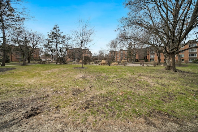 1116 S New Wilke Rd Unit 408, Arlington Heights, IL 60005 - view of grassy yard
