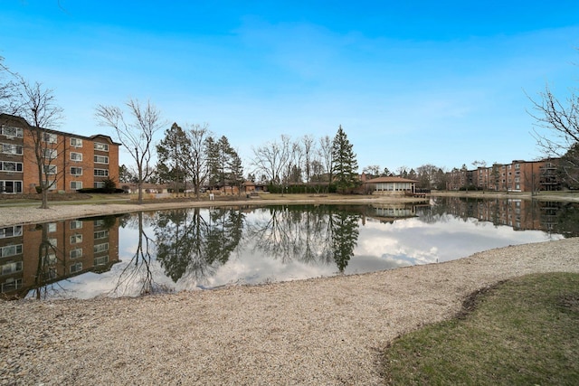 1116 S New Wilke Rd Unit 408, Arlington Heights, IL 60005 - water view