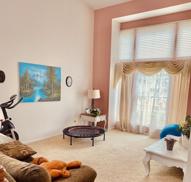 1300 Edington Ln, Mundelein, IL 60060 - living room featuring carpet floors and baseboards