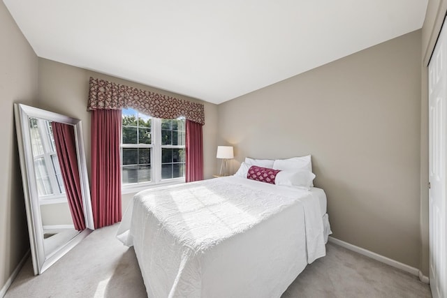 6173 Dixon Dr, Lisle, IL 60532 - bedroom with light colored carpet, baseboards, and a closet