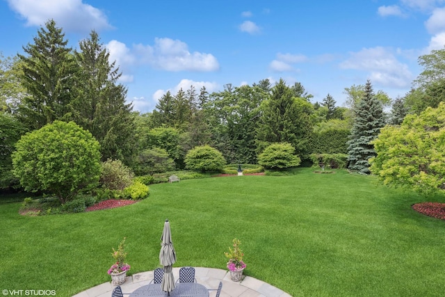 770 E Westminster Rd, Lake Forest, IL 60045 - view of green lawn with a patio area