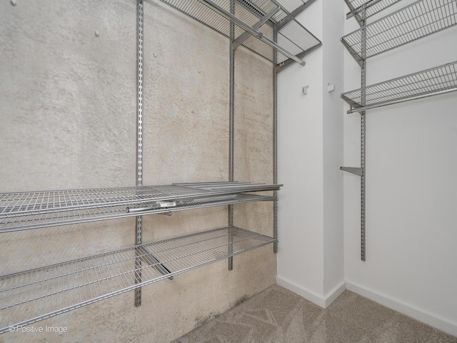 630 N Franklin St Unit 817, Chicago, IL 60654 - walk in closet with carpet flooring