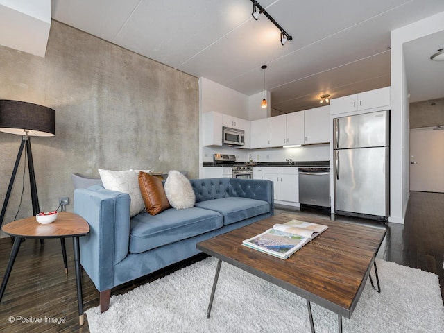 630 N Franklin St Unit 817, Chicago, IL 60654 - living area featuring dark wood-type flooring and track lighting