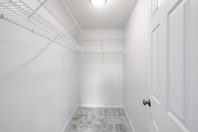 675 Fieldcrest Dr Unit 1A, South Elgin, IL 60177 - walk in closet featuring carpet
