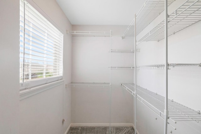 675 Fieldcrest Dr Unit 1A, South Elgin, IL 60177 - view of walk in closet