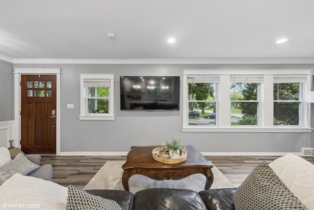 805 S Main St, Wheaton, IL 60189 - living room featuring wood finished floors, ornamental molding, baseboards, and recessed lighting