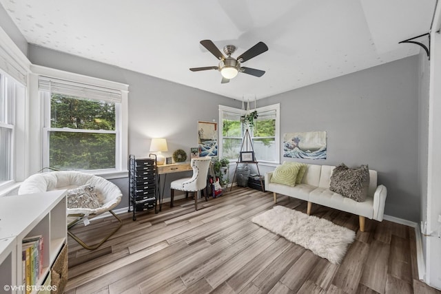 805 S Main St, Wheaton, IL 60189 - office with wood finished floors, healthy amount of natural light, a ceiling fan, and baseboards