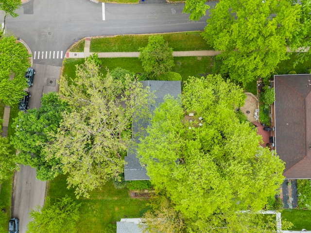805 S Main St, Wheaton, IL 60189 - bird's eye view