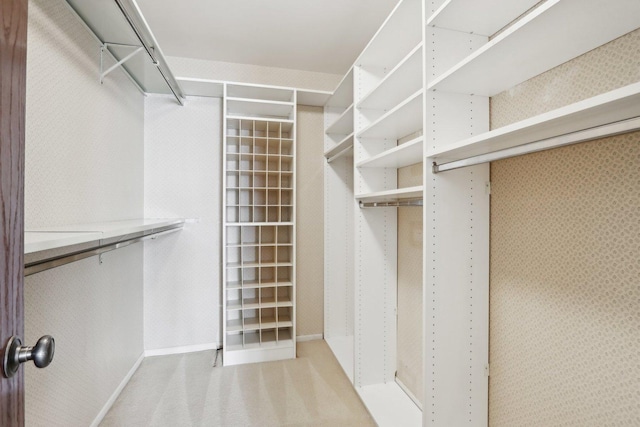 6400 N Cicero Ave Unit 404, Lincolnwood, IL 60712 - spacious closet with light carpet