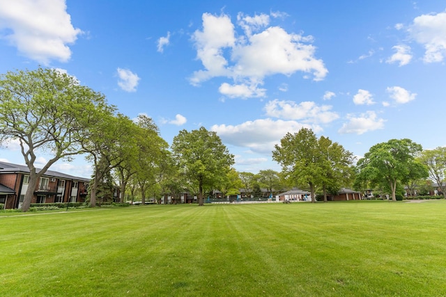 1210 N Dale Ave Unit 2I, Arlington Heights, IL 60004 - view of green lawn