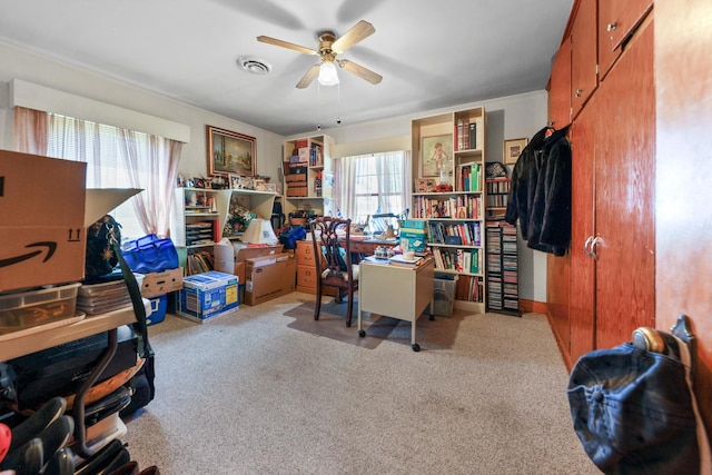 605 E St, Mazon, IL 60444 - office space featuring a ceiling fan and carpet floors