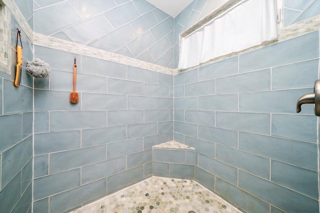 2215 N Woodlawn Park Ave, Mchenry, IL 60051 - full bathroom featuring a tile shower