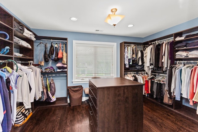 1101 Juniper Ter, Glenview, IL 60025 - walk in closet featuring wood finished floors