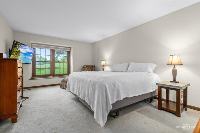 312 Dunham Place Commons Unit 312, Saint Charles, IL 60174 - bedroom featuring carpet floors and baseboards