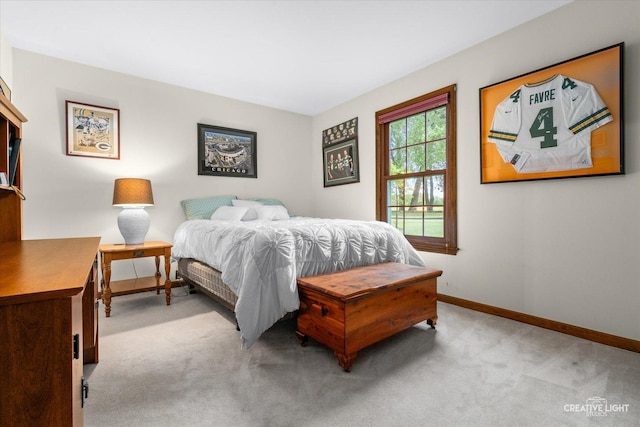 312 Dunham Place Commons Unit 312, Saint Charles, IL 60174 - bedroom featuring light carpet and baseboards