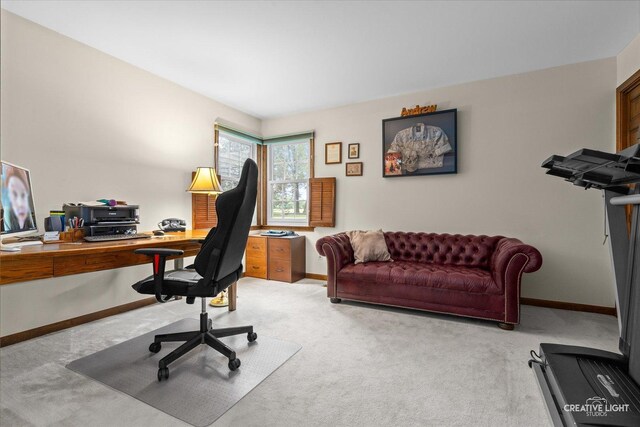 312 Dunham Place Commons Unit 312, Saint Charles, IL 60174 - home office with light carpet and baseboards