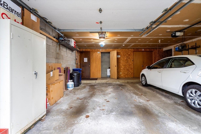 312 Dunham Place Commons Unit 312, Saint Charles, IL 60174 - garage with a garage door opener