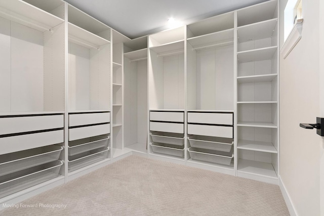 611 S Fern Ave, Elmhurst, IL 60126 - walk in closet featuring carpet