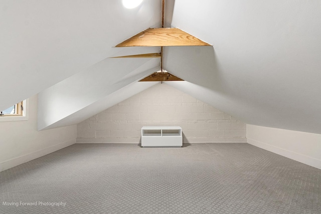 611 S Fern Ave, Elmhurst, IL 60126 - additional living space featuring carpet floors