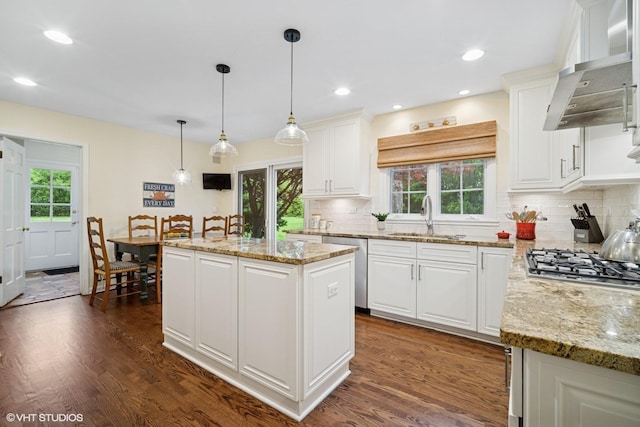 706 Tanglewood Ct, Lake Forest, IL 60045 - kitchen with a sink, wall chimney range hood, stainless steel appliances, dark wood finished floors, and decorative backsplash