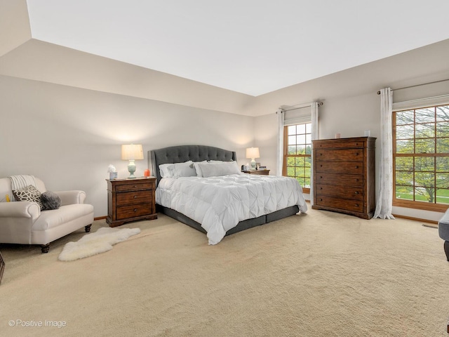 1000 Surrey Ln, Itasca, IL 60143 - bedroom featuring multiple windows and carpet flooring