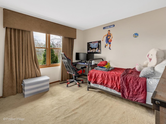 1000 Surrey Ln, Itasca, IL 60143 - bedroom with carpet flooring and baseboards