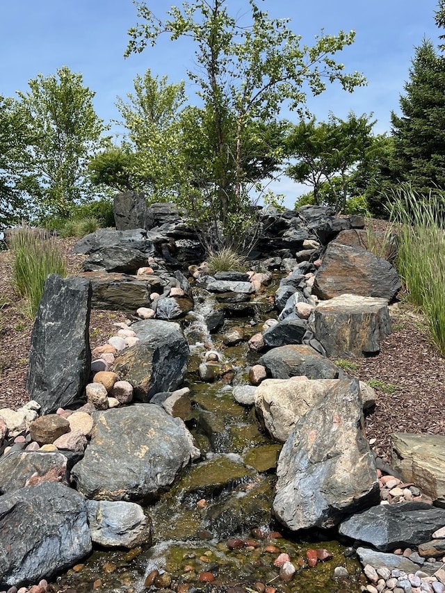 view of local wilderness