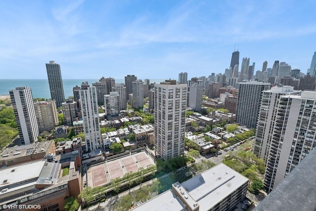 1560 N Sandburg Ter Unit 3506J, Chicago, IL 60610 - skyline view with a large body of water