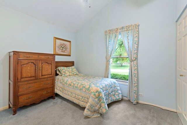 21570 N Inglenook Ln, Deer Park, IL 60010 - photo 15