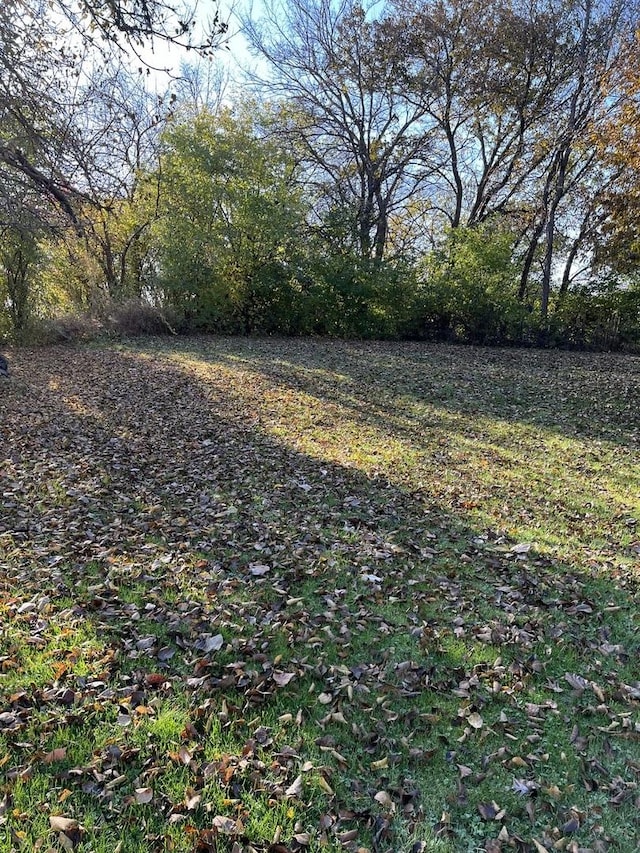 11500 Bell Rd, Lemont, IL 60439 - view of yard