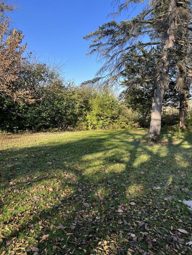 11500 Bell Rd, Lemont, IL 60439 - view of grassy yard