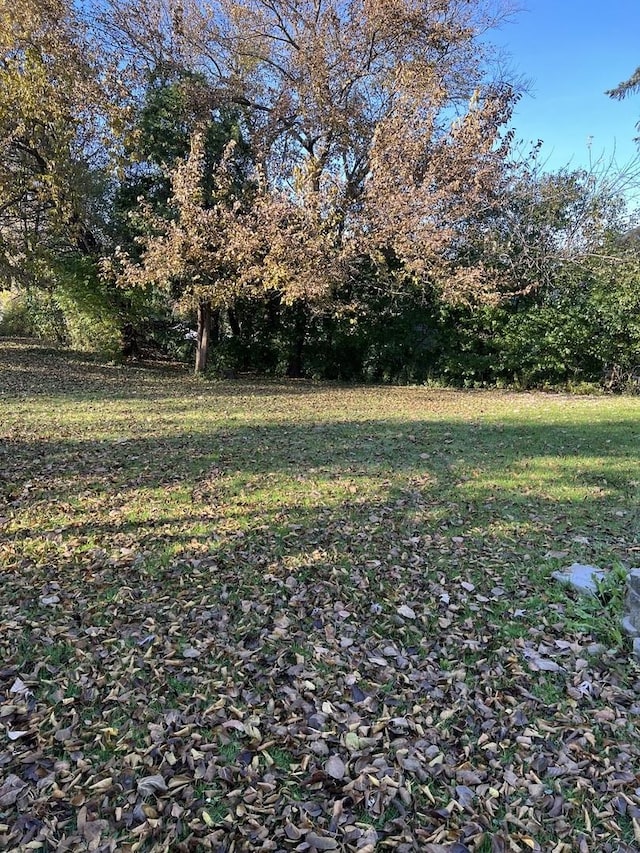 11500 Bell Rd, Lemont, IL 60439 - view of green lawn