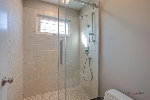 38868 Oakcrest Ln, Wadsworth, IL 60083 - bathroom with toilet and a stall shower