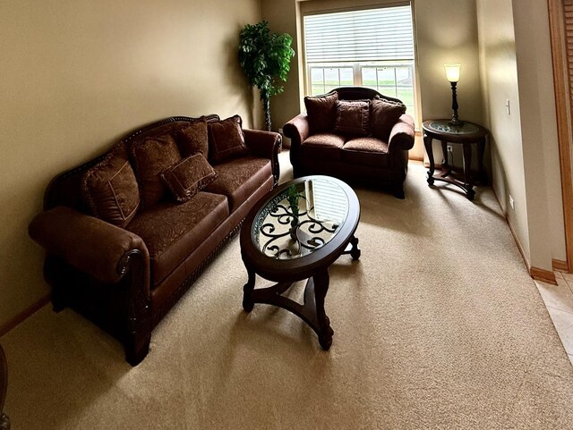 1849 Moorland Ln, Crystal Lake, IL 60014 - living area featuring light colored carpet and baseboards