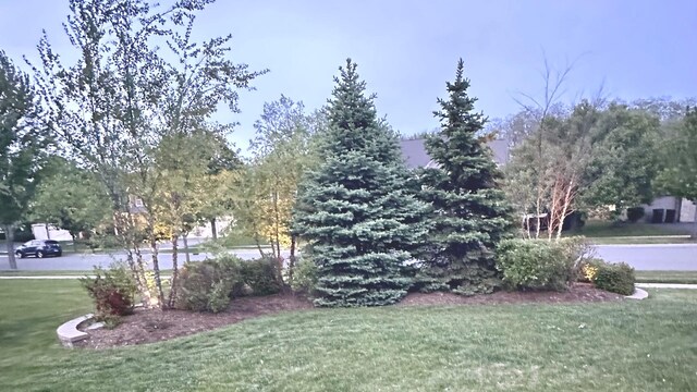 1849 Moorland Ln, Crystal Lake, IL 60014 - view of green lawn