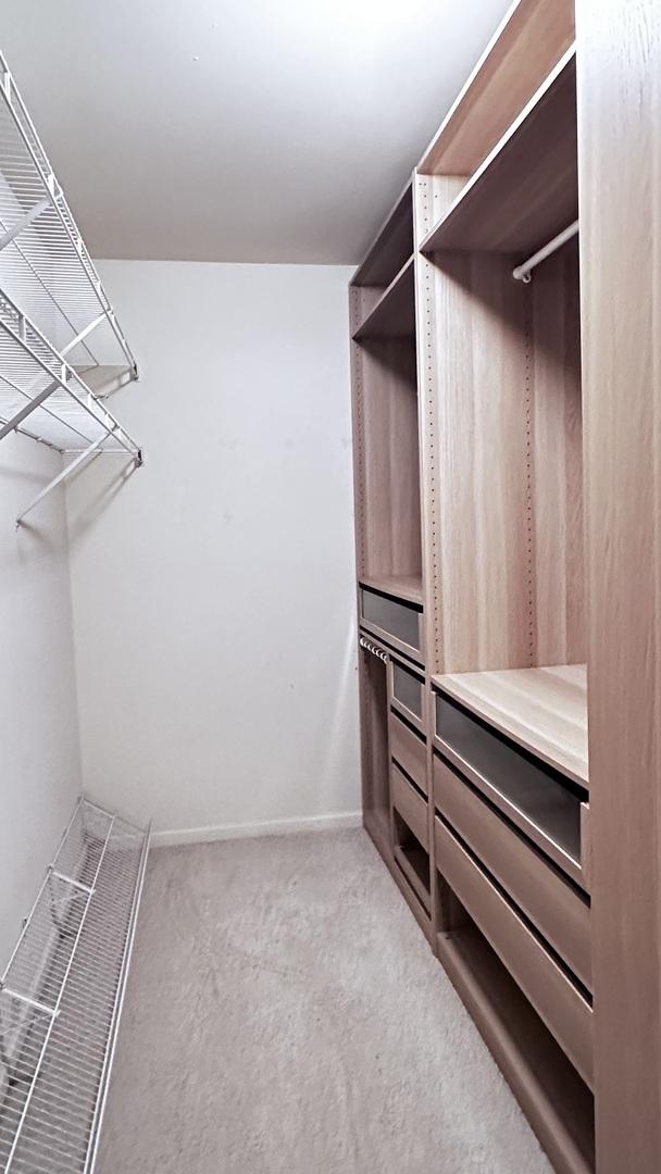 857 Bluestem Dr, Bolingbrook, IL 60440 - walk in closet featuring carpet flooring