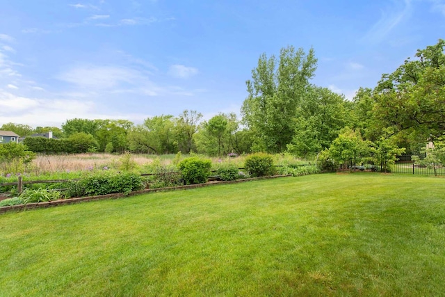 857 Bluestem Dr, Bolingbrook, IL 60440 - view of yard