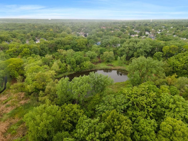 857 Bluestem Dr, Bolingbrook, IL 60440 - drone / aerial view of a heavily wooded area and a nearby body of water