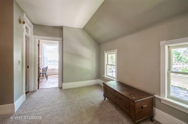 128 Forest Ave, Riverside, IL 60546 - interior space featuring plenty of natural light, carpet floors, baseboards, and lofted ceiling