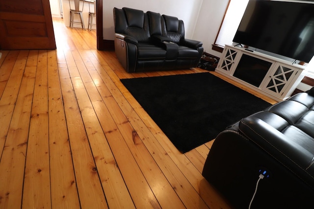 4977 N Mount Vernon Rd, Forreston, IL 61030 - living area with light wood finished floors
