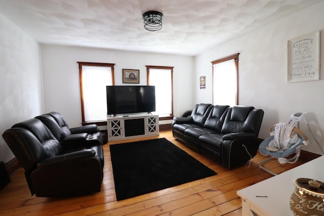 4977 N Mount Vernon Rd, Forreston, IL 61030 - living room with hardwood / wood-style flooring