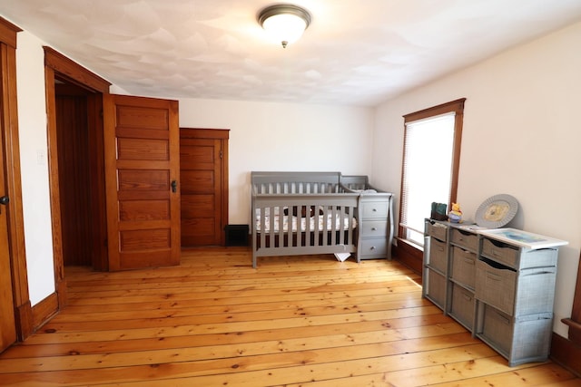 4977 N Mount Vernon Rd, Forreston, IL 61030 - bedroom featuring light wood-type flooring