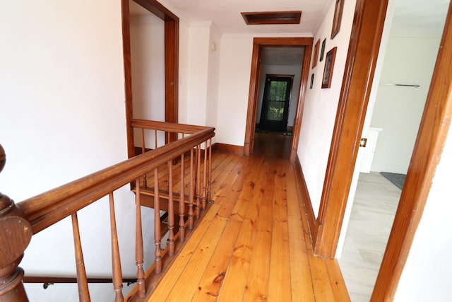 4977 N Mount Vernon Rd, Forreston, IL 61030 - hallway with light wood finished floors, ornamental molding, and baseboards