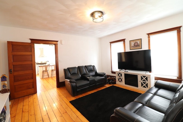 4977 N Mount Vernon Rd, Forreston, IL 61030 - living room featuring light wood-type flooring