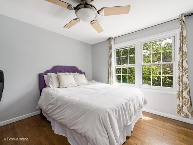 421 S River Rd, Naperville, IL 60540 - bedroom featuring baseboards, wood finished floors, and ceiling fan