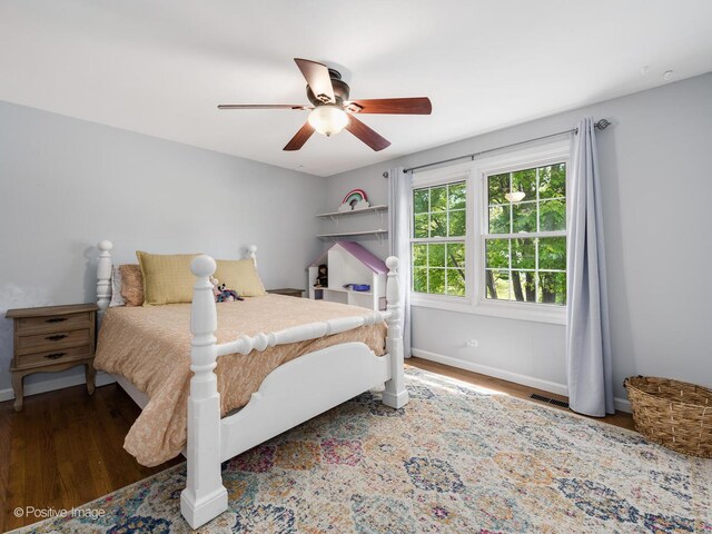 421 S River Rd, Naperville, IL 60540 - bedroom with wood finished floors, baseboards, and ceiling fan