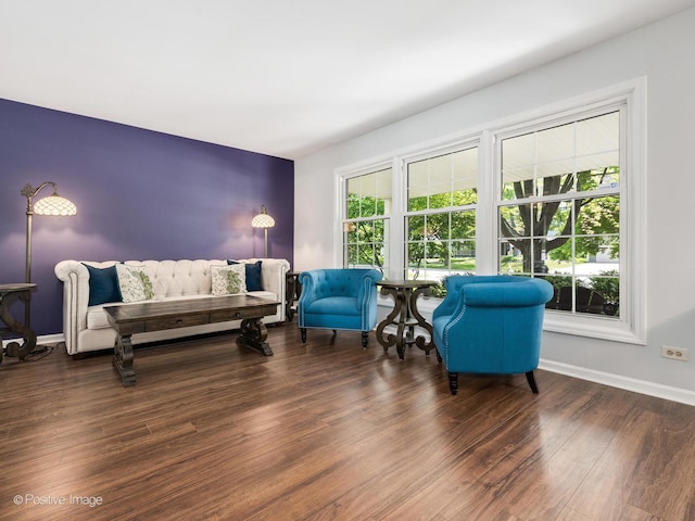 421 S River Rd, Naperville, IL 60540 - living room with wood finished floors and baseboards
